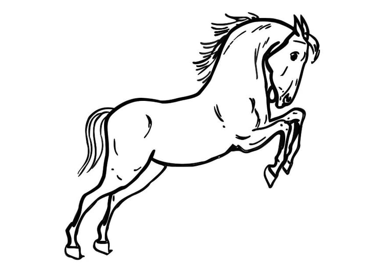 Coloring page jumping horse