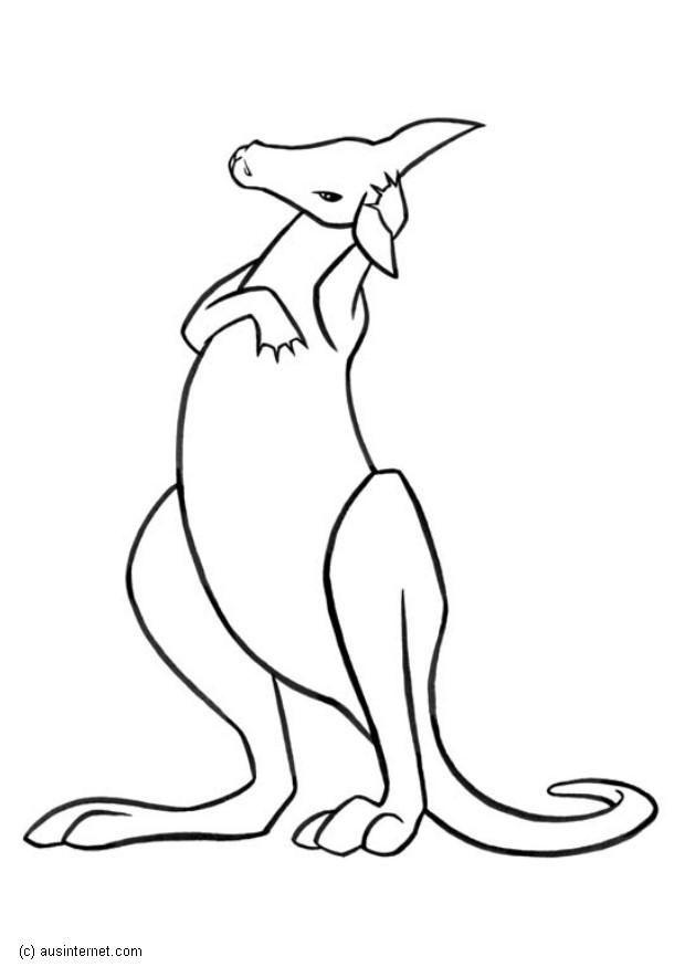 Coloring page kangaroo