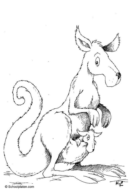 Coloring Page kangaroo - free printable coloring pages - Img 4383