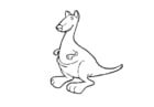 Coloring pages kangaroo