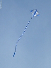 Photo kite