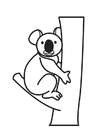 Coloring pages Koala Bear