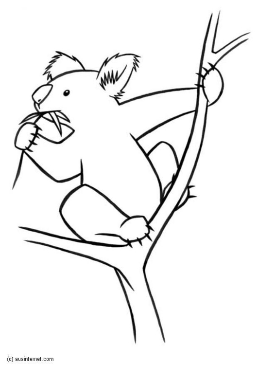 Coloring Page koala - free printable coloring pages - Img 5606