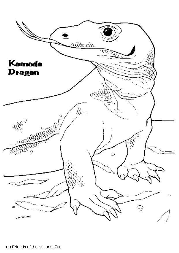 Coloring page komodo dragon