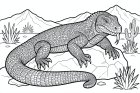 Komodo dragon