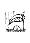 Coloring page lady bug takes shelter from rain