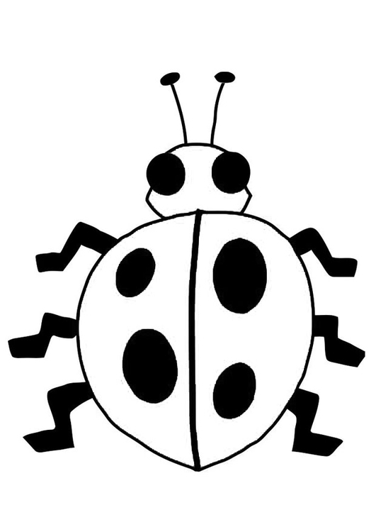 Coloring page ladybird