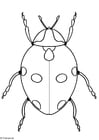 Coloring page ladybird