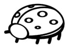 Coloring pages ladybug