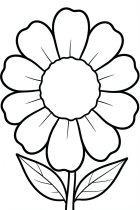 large flower