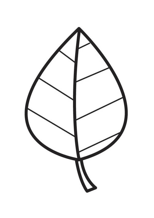 Coloring Page Leaf - free printable coloring pages - Img 18346