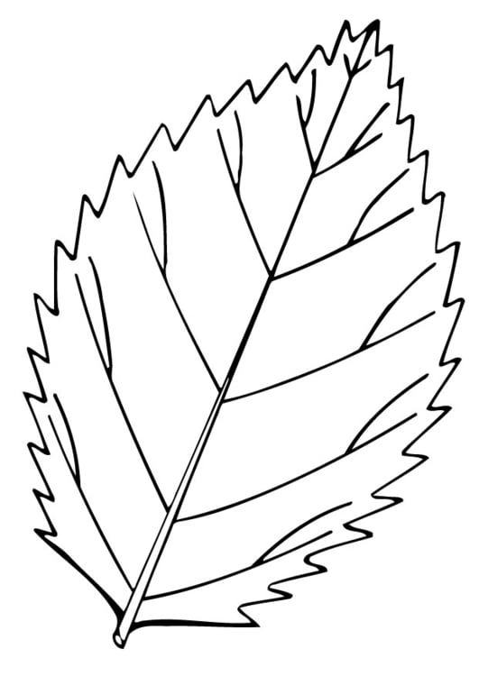 Coloring page leaf