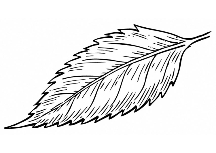 Coloring page leaf