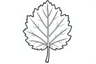 leaf