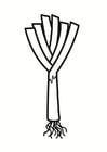 Coloring page leek