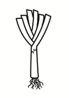 Coloring pages leek