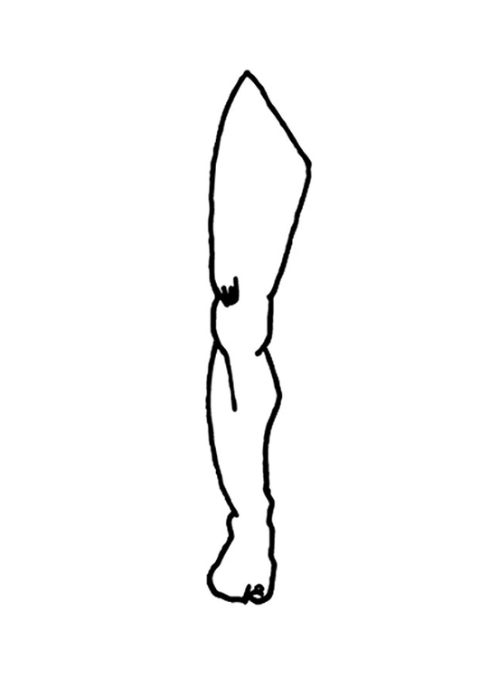 Coloring page leg