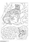 Coloring pages leopard