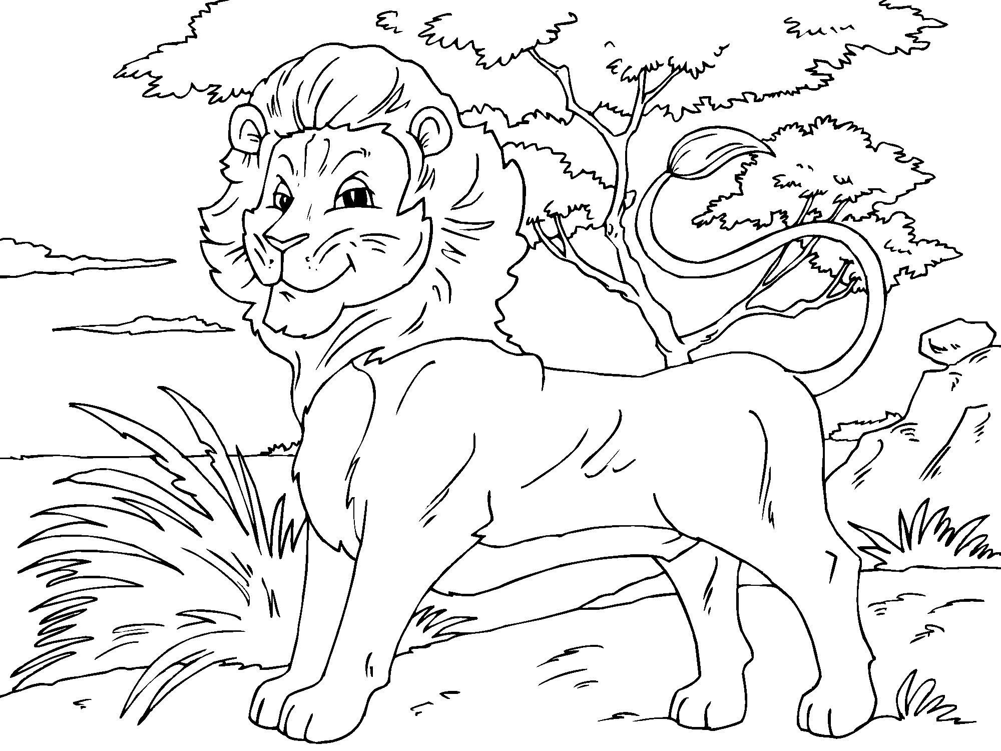 Coloring page lion