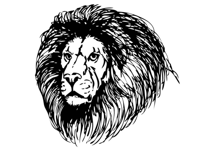 Coloring page Lion