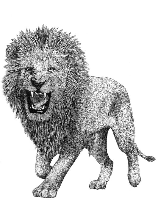 Coloring page lion