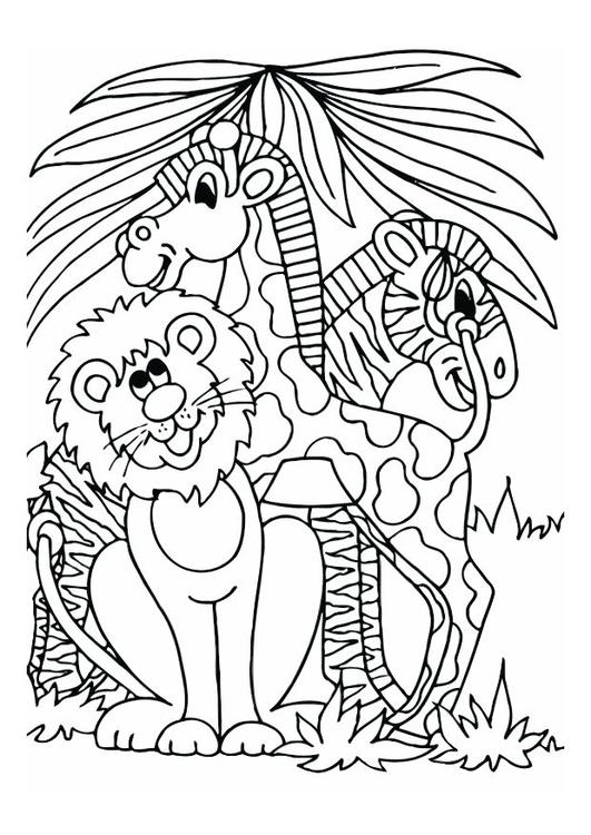 lion, giraffe and zebra