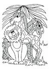 lion, giraffe and zebra