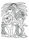 Coloring pages lion, giraffe and zebra