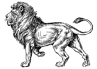 Coloring pages Lion