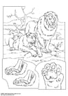 Coloring page lions