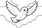 coloring-page little bird
