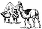 Coloring pages llama