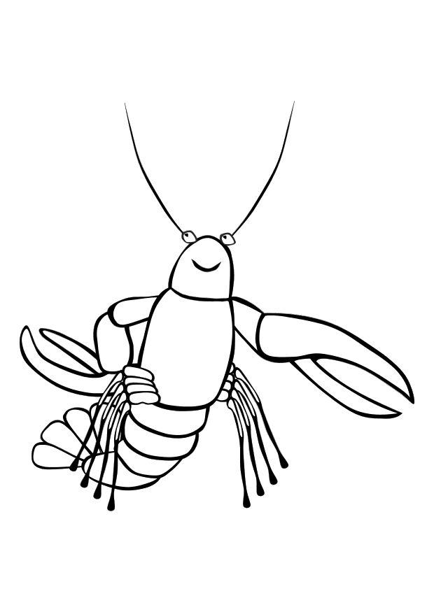 Coloring page lobster
