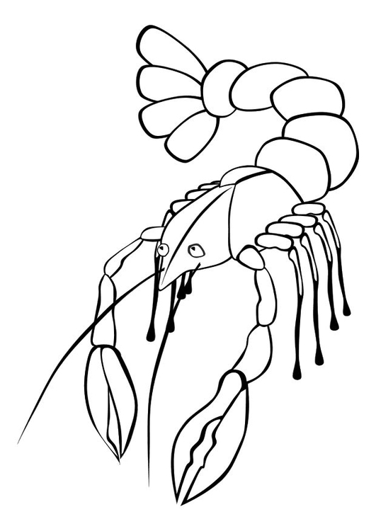 Coloring page lobster