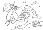 Coloring page lobster