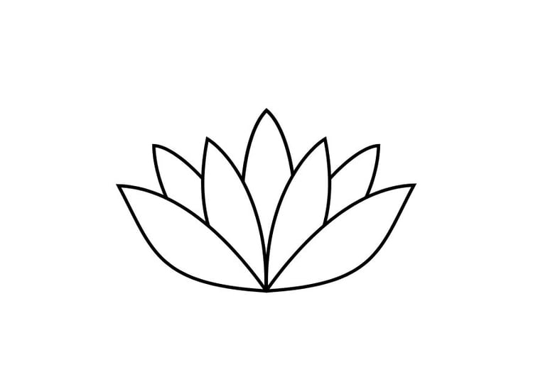 Coloring page lotus flower