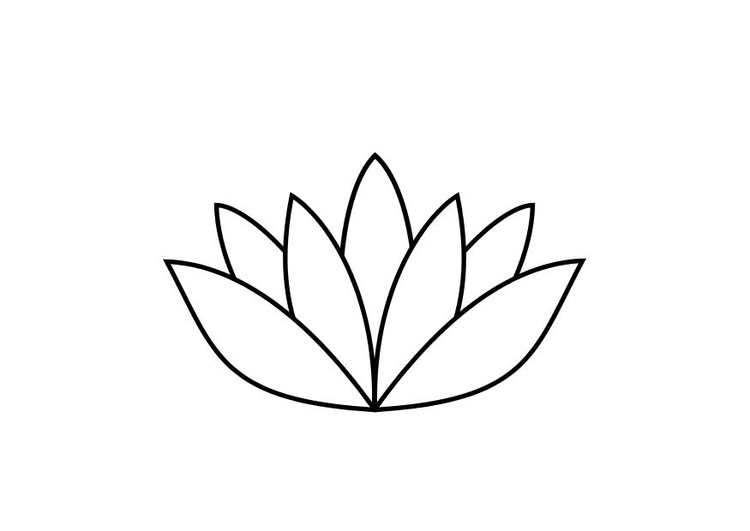 Coloring page lotus flower