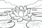 lotus flower