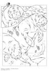 Coloring pages manatee