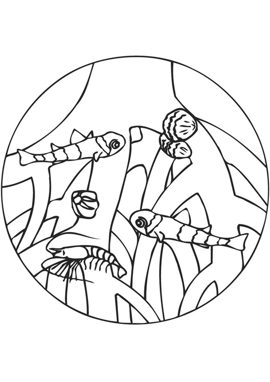 Coloring page mangrove habitat