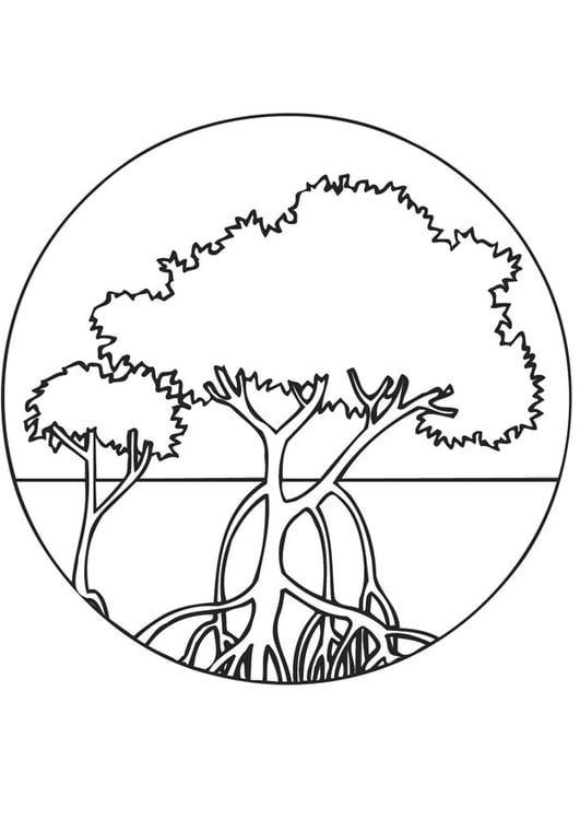 Coloring page mangroves