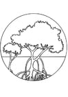 Coloring pages mangroves