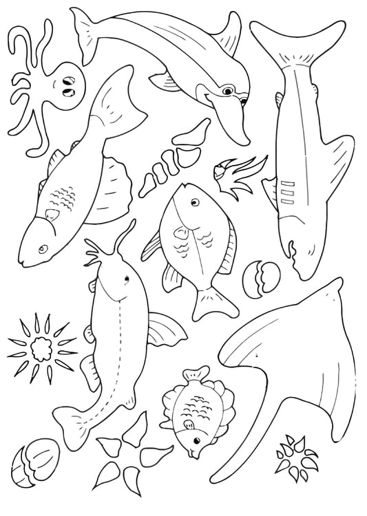 Coloring page many fish in the sea