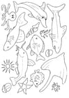 Coloring pages many fish in the sea
