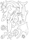 Coloring page many fish in the sea