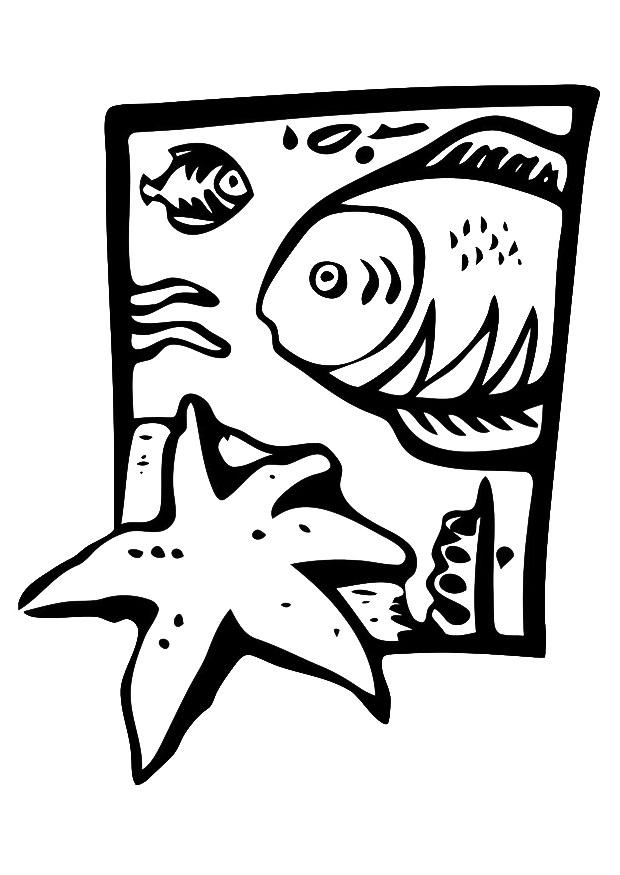 Coloring page marine animals