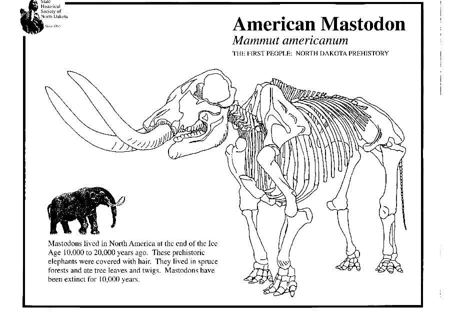Coloring page mastodon