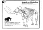 Coloring pages mastodon