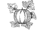 Coloring pages Melon