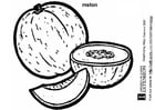 Coloring page melon